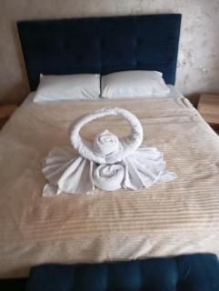 Apartment Aleksandrija - Niš - 1