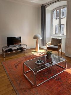 Hypercentre T2 50 m2, Château des Rohan - 8