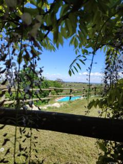 Villa Luisa - Ziano Piacentino - 9