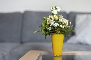 Ferienwohnung Peitz - Eslohe (Sauerland) - 6