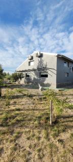 Finca san benito - Puerto Madryn - 8