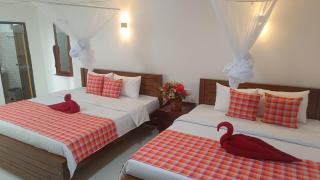 Shine Haven Ella - 1