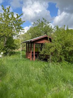 Sunny - Stepnica - 1