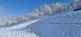 Villa Alyanna - - 4