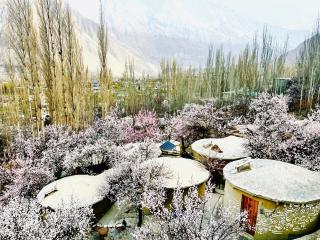 Mountain Story Resort - Alīābād - 5