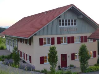 Haus Schwärzler - Stiefenhofen - 9