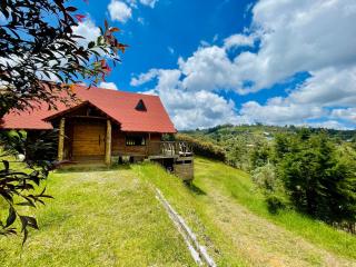 La Bambina Cabaña Glamping - Guarne - 6