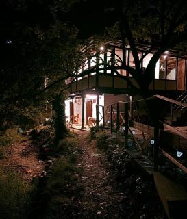 Ikaya Kothi Entire Forest Stay for Soul Reset - 4
