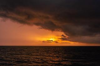 CARDUMEN ARTE y COCINA - 7