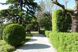 Chambres d'hôtes - Nîmes - Villa des roses - Nimes - 6