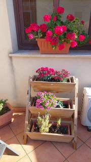 Residence Barbara - 9