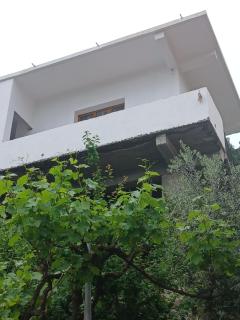 Roel guest house - Berat - 4