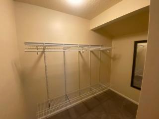 Melbourne Lakeside Paradise - 5