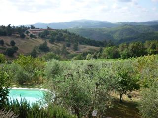 Casa Ceneruzzi - Gambassi Terme - 7