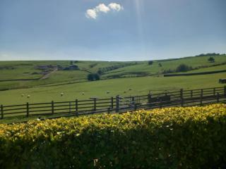 Walls Clough - Rossendale - 8