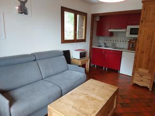 studio lumineux La Tournette - Le Grand-Bornand - 8