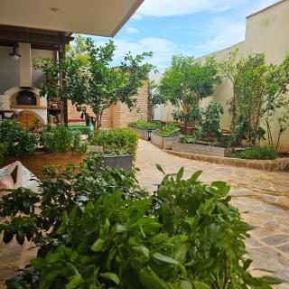 Casa Di Mare Artemis - Áyios Spirídhon - 8