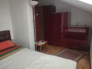 JANA - Veliko Gradiste - 5