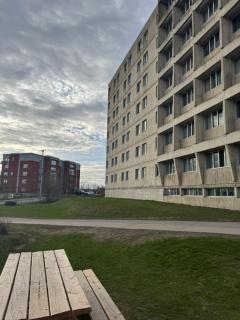 Résidences du Cégep de Rimouski - Rimouski - 8