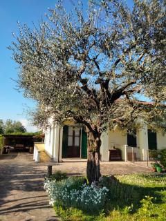 Casa Sandra - Montegrotto Terme - 0