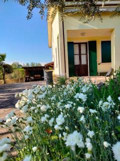 Casa Sandra - Montegrotto Terme - 9