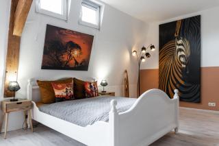 SchaeBu! Apartment 5 Altmarkt goes Afrika - Cottbus - 8