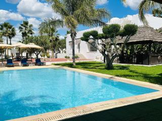 Villa Oasis - Bin Rhilouf - 0