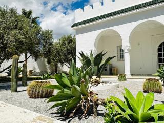 Villa Oasis - Bin Rhilouf - 7