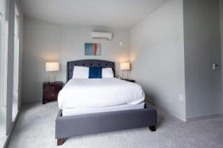 Luxury Private Apt with Pool - White Plains - 3