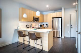 Luxury Apt Downtown - White Plains - 0