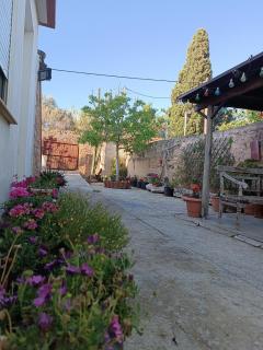 Mandarini - - 3