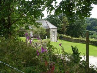 Harry - Bodmin - 9