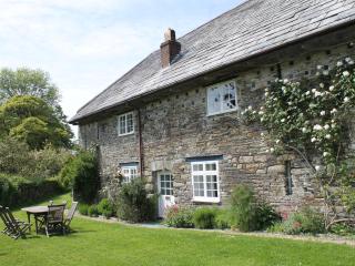 Harry - Bodmin - 0