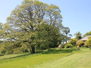 Harry - Bodmin - 1