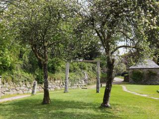 Harry - Bodmin - 3