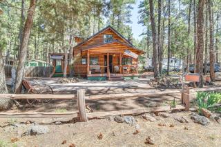 1 Mi to Rainbow Lake Forest-View Sanctuary! - Pinetop-Lakeside - 9