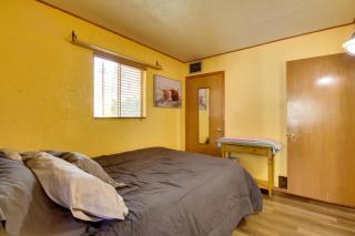 1 Mi to Rainbow Lake Forest-View Sanctuary! - Pinetop-Lakeside - 1