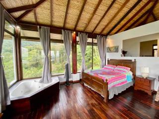 Arenal Birdsong, Entire Villa W- Stunning Views,! - El Castillo de La Fortuna - 7
