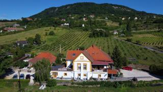 Balatoni Panoráma Apartman - Bacchus Badacsony - Badacsonytomaj - 1