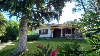 VILLA Amena WI-FI AC Giardino privato - SantʼAntonio - 0