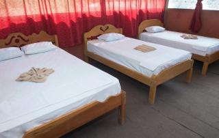 Maniti Eco-Lodge - Francisco de Orellana - 7