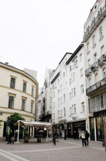 Luxury Apartment by Hi5 - Best Location 3-br - Budapest - 1