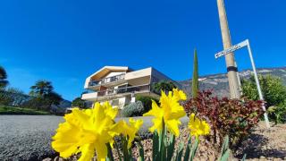 Highlight Apartments - Appiano sulla Strada del Vino - 0