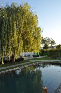 Kirchers Park & Wellnesshotel Kaiserstuhl Garni - Endingen - 7