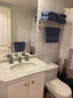 Apartamento Amoblado , en el corazón de Providencia, incluye estacionamiento - Santiago - 3