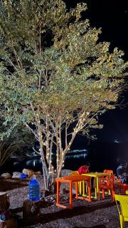 Tranquil - Camp by the Lake - Somavadi - 1