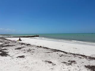 HOUSE NINO, a house a few steps from the sea - Isola Holbox - 2