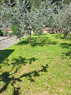 Casa Gli Ulivi - Montepulciano - 4
