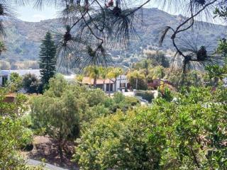 "NEW"Luxury Wine Retreat Fallbrook Villa and Venues - Fallbrook - 6