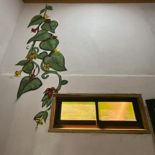 Perezoso Lodge - Cahuita - 7